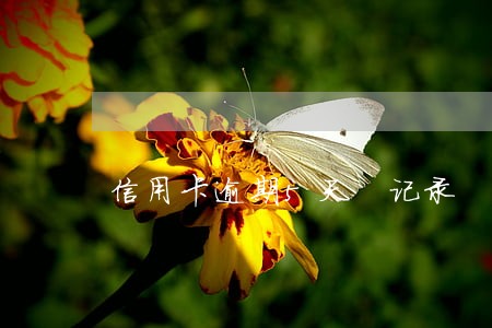 信用卡逾期5天 记录 信用卡逾期5天 记录
